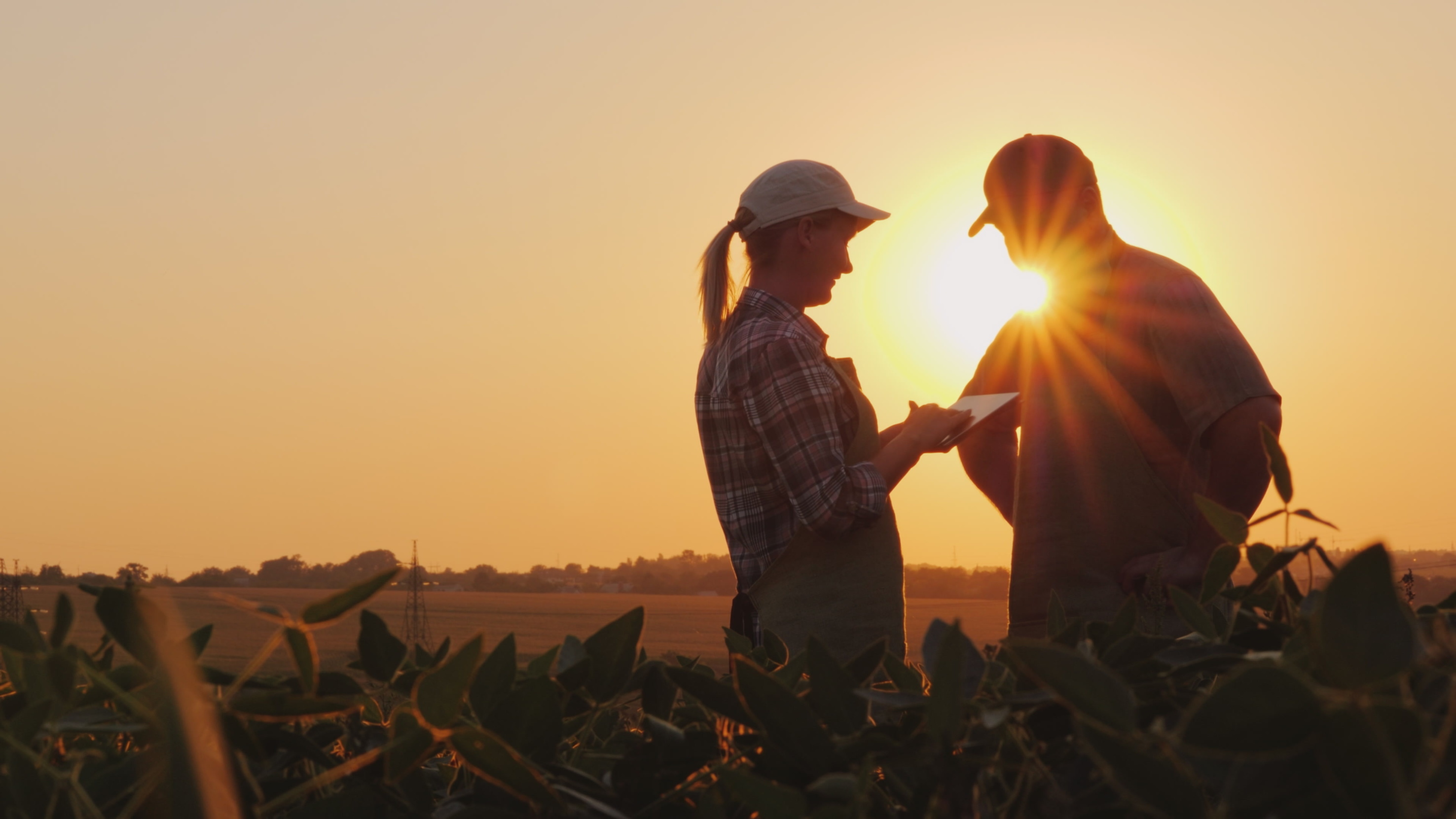 A woman and man stand in a cornfield as sun sets