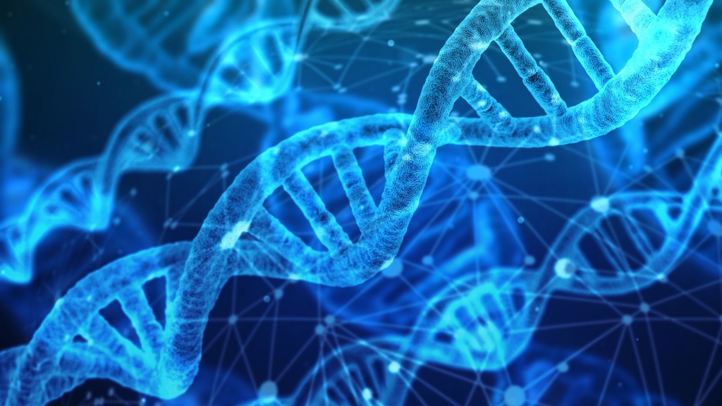 dna double helix