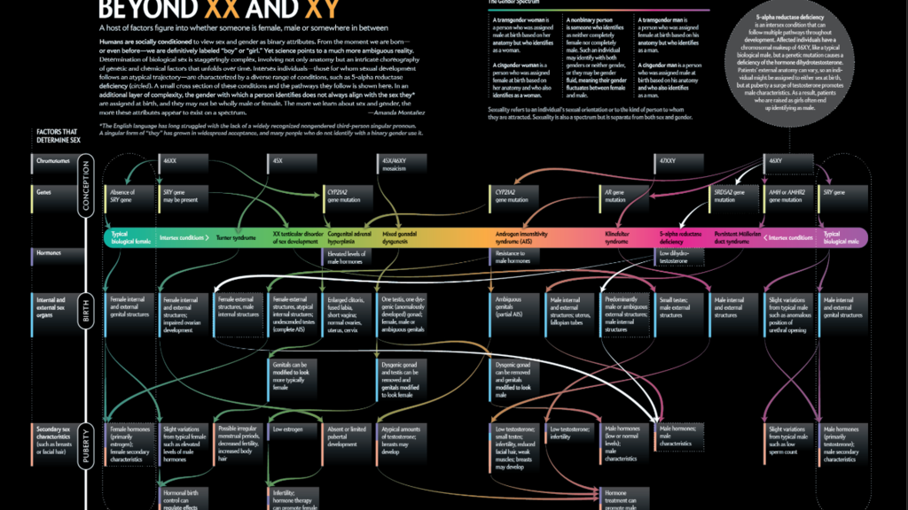 sex as a spectrum